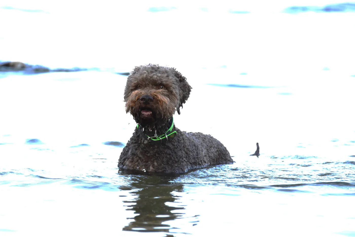 Great Gatsby vom Hoffmannseck